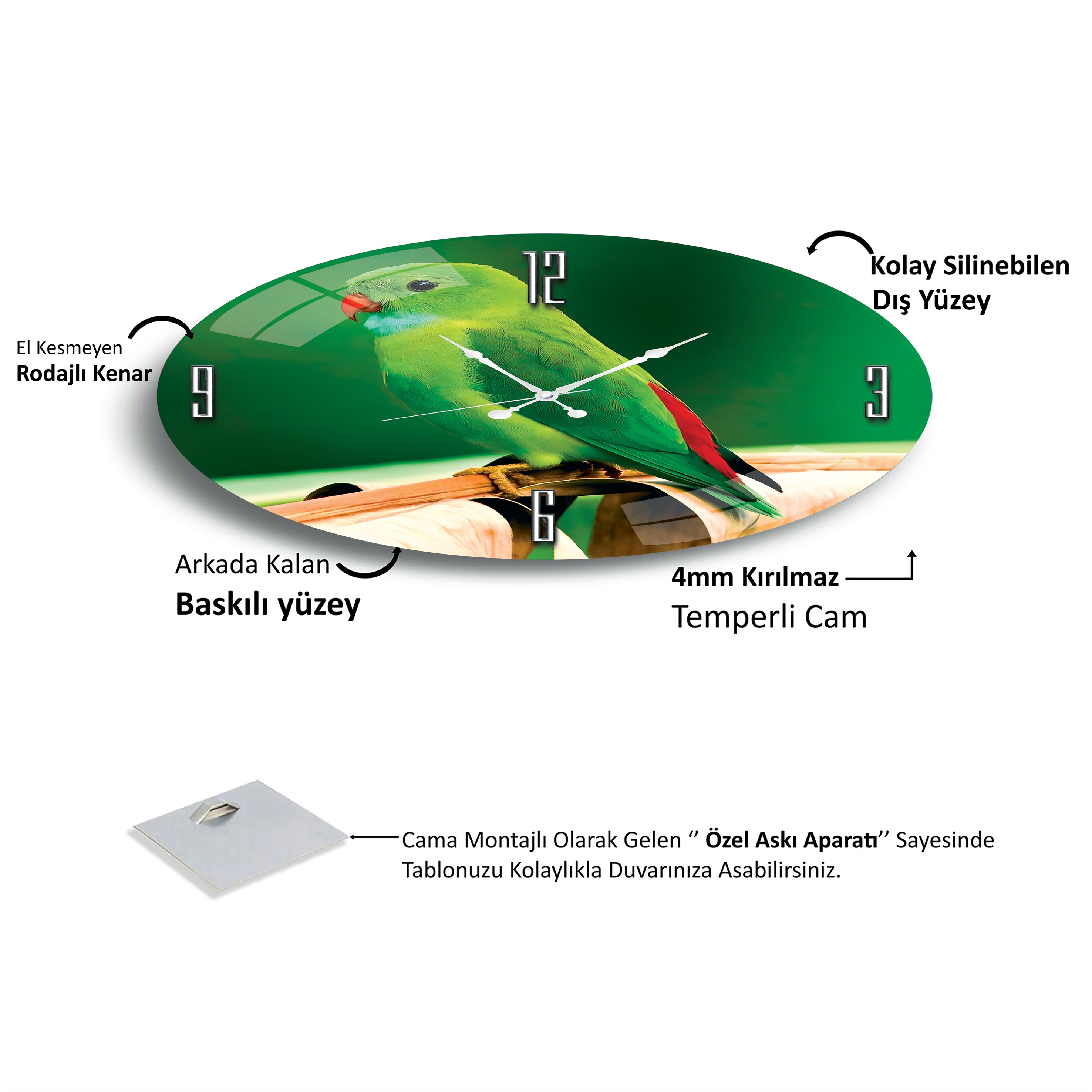 Papağan%20Cam%20Saat%20-%2060%20cm