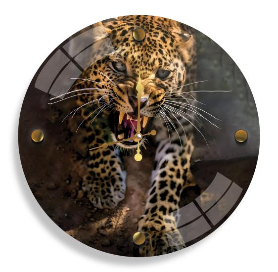 Leopar Cam Saat - 40 cm